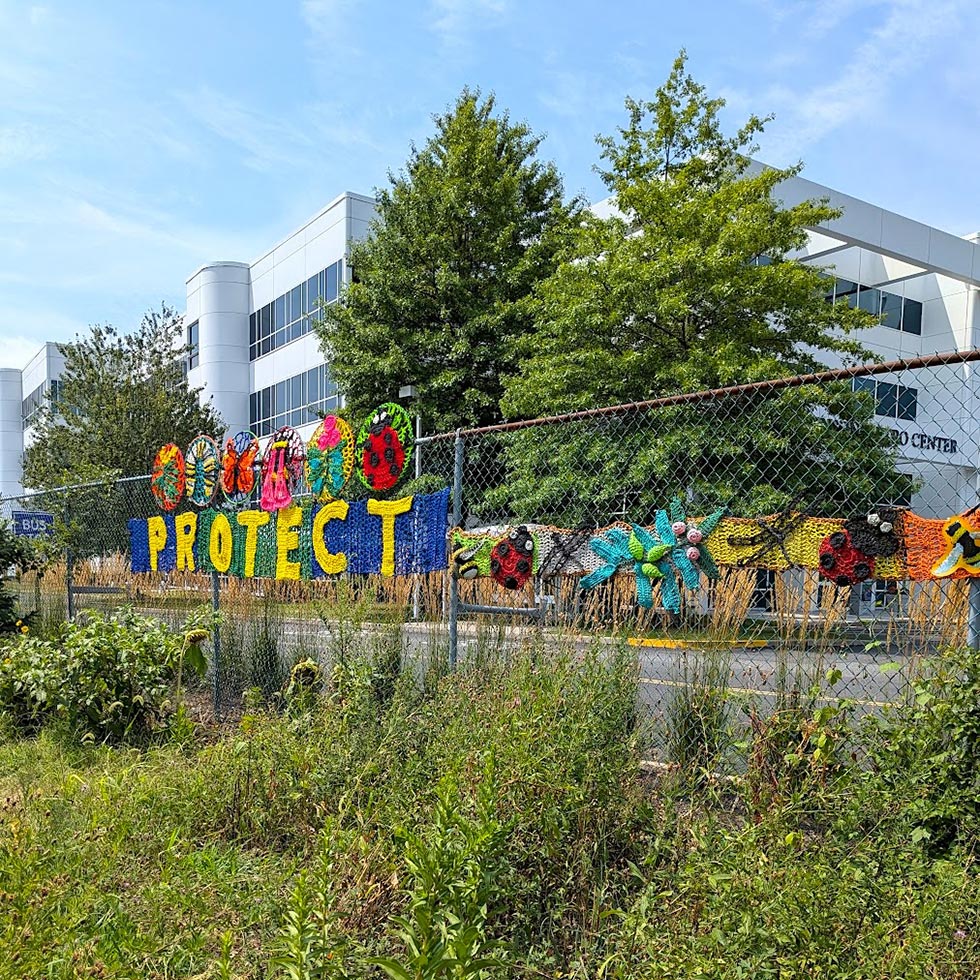 amenities featured image - Butterfly Sanctuary