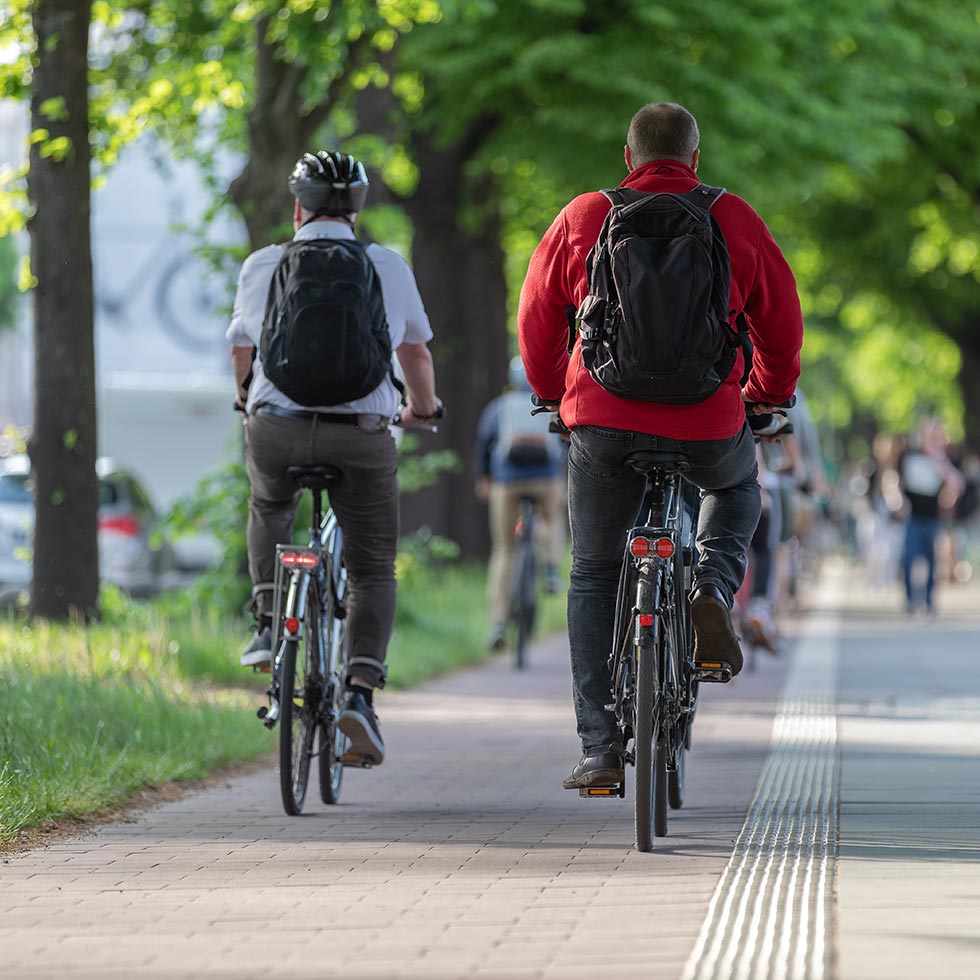 amenities featured image - Walking and Bicycling Paths